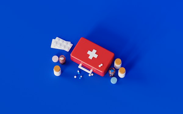 Compact Travel First Aid Kit
